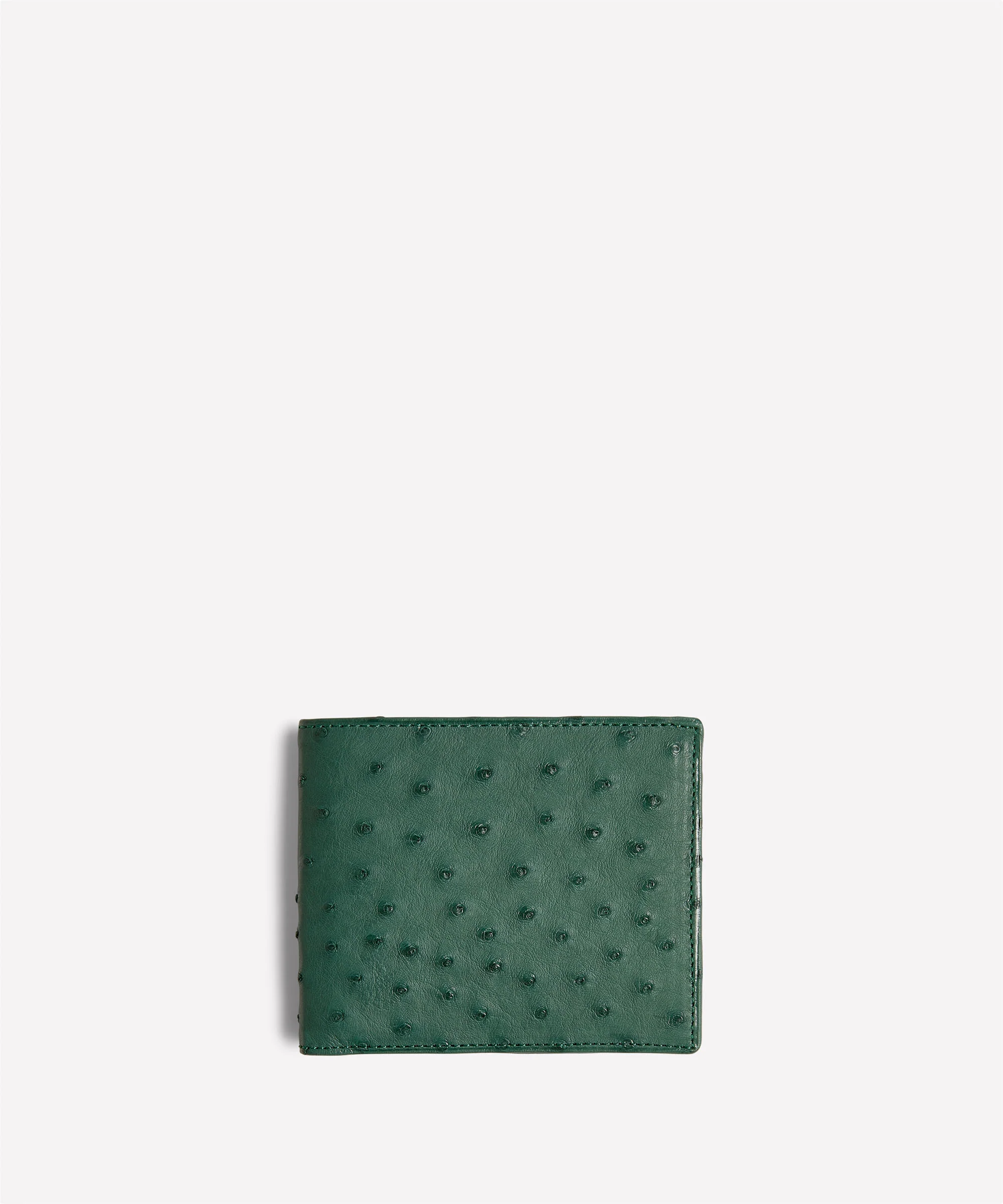 New In